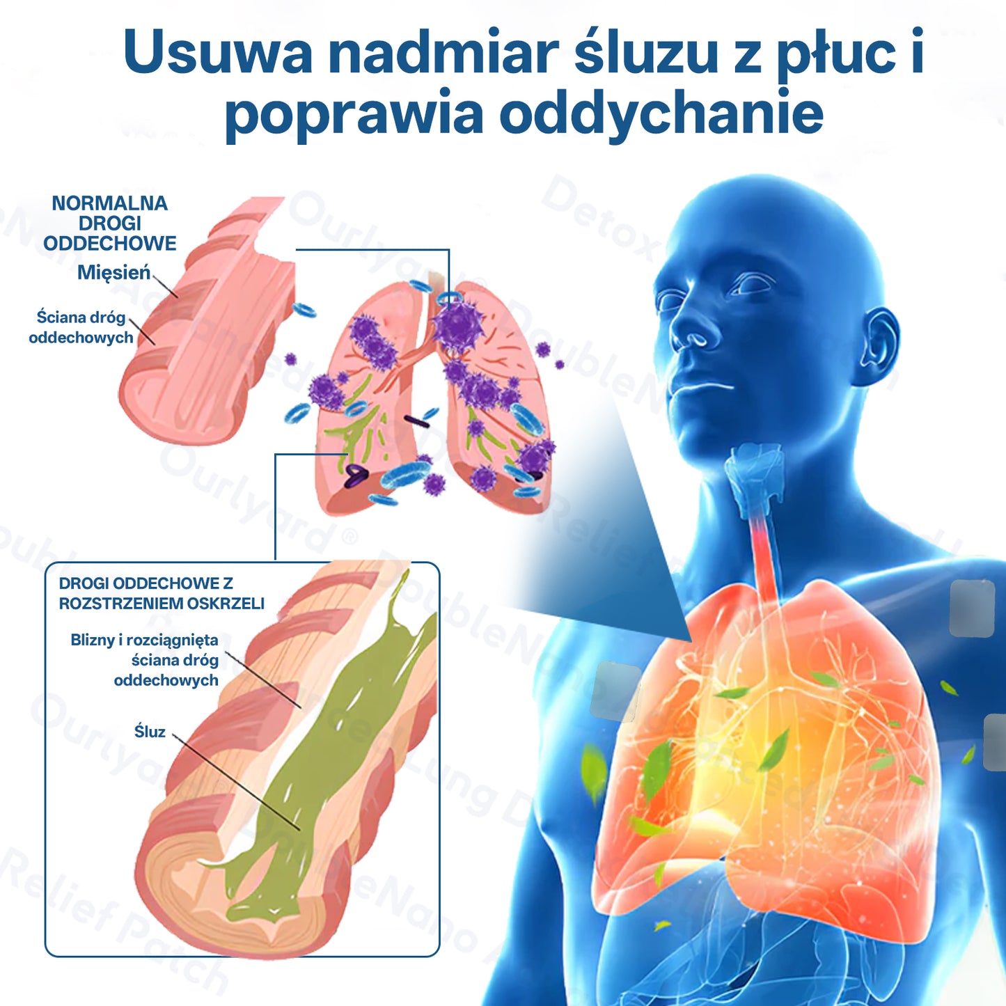 ✅🫁 Zvoevo® Podwójne Nano – Plastry na ulgę przy POChP 💝 (kaszel, świszczący oddech, duszność, flegma, zatkany nos, zapalenie oskrzeli, alergie, dyskomfort płuc)