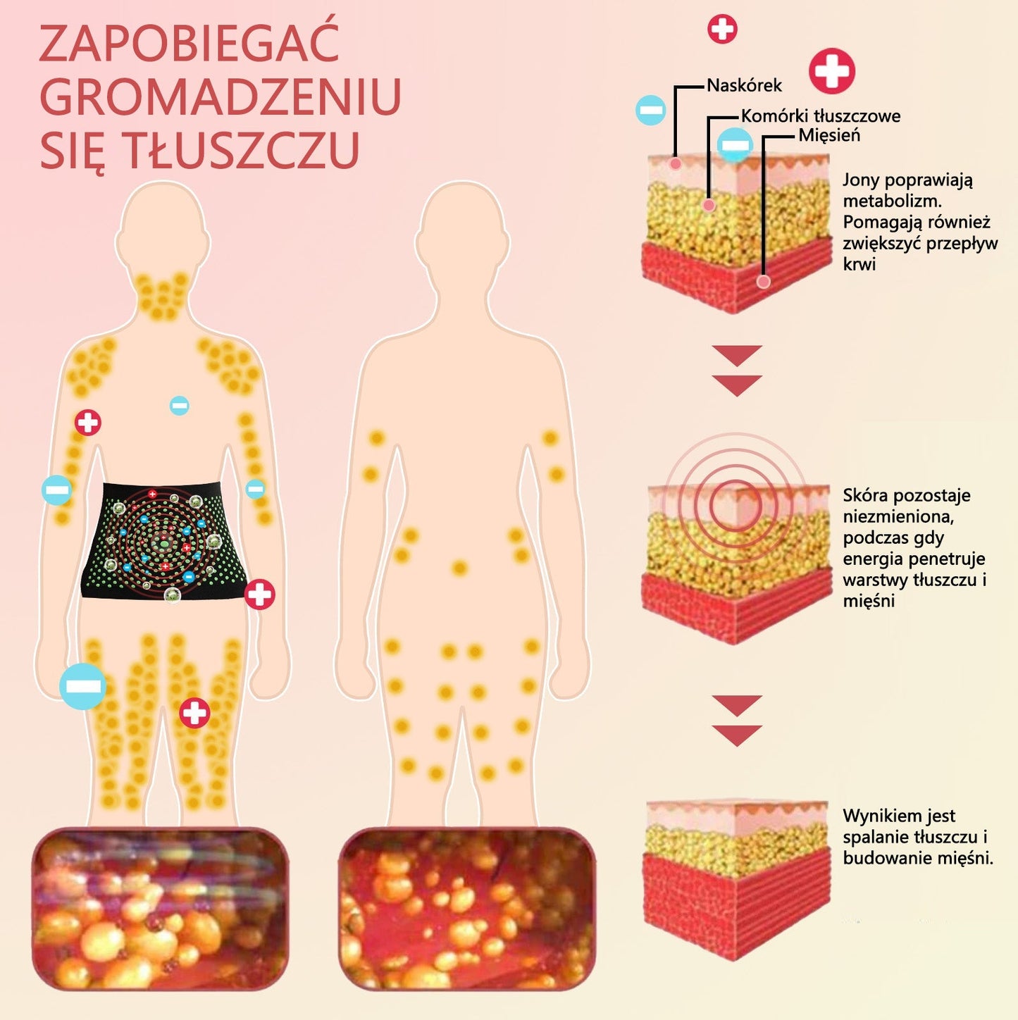 Flouris™ Mikro-wibracyjny Pas Wzmacniający Zioło Piołun do Kształtowania Ciała❤️ (Zalecane przez chirurgów plastycznych)